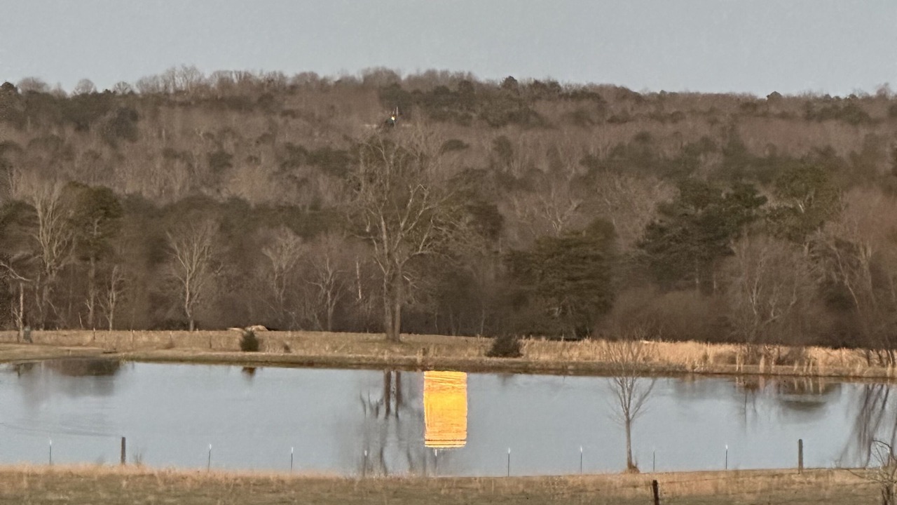 Photo of Others in Fort Payne