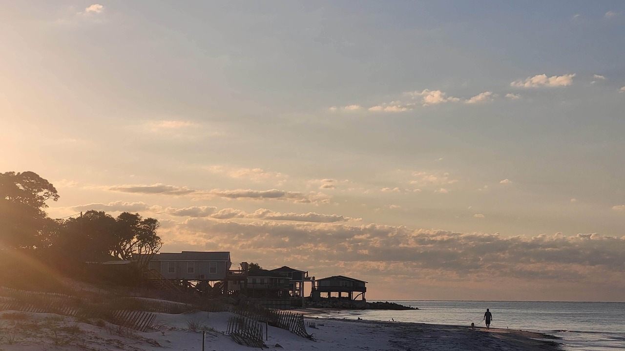 Photo of Others in Alligator Point
