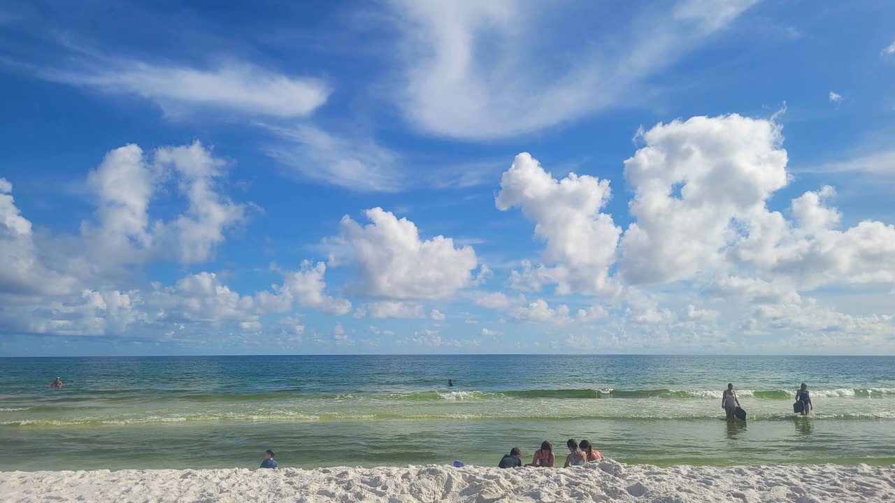 Photo of Others in Alligator Point