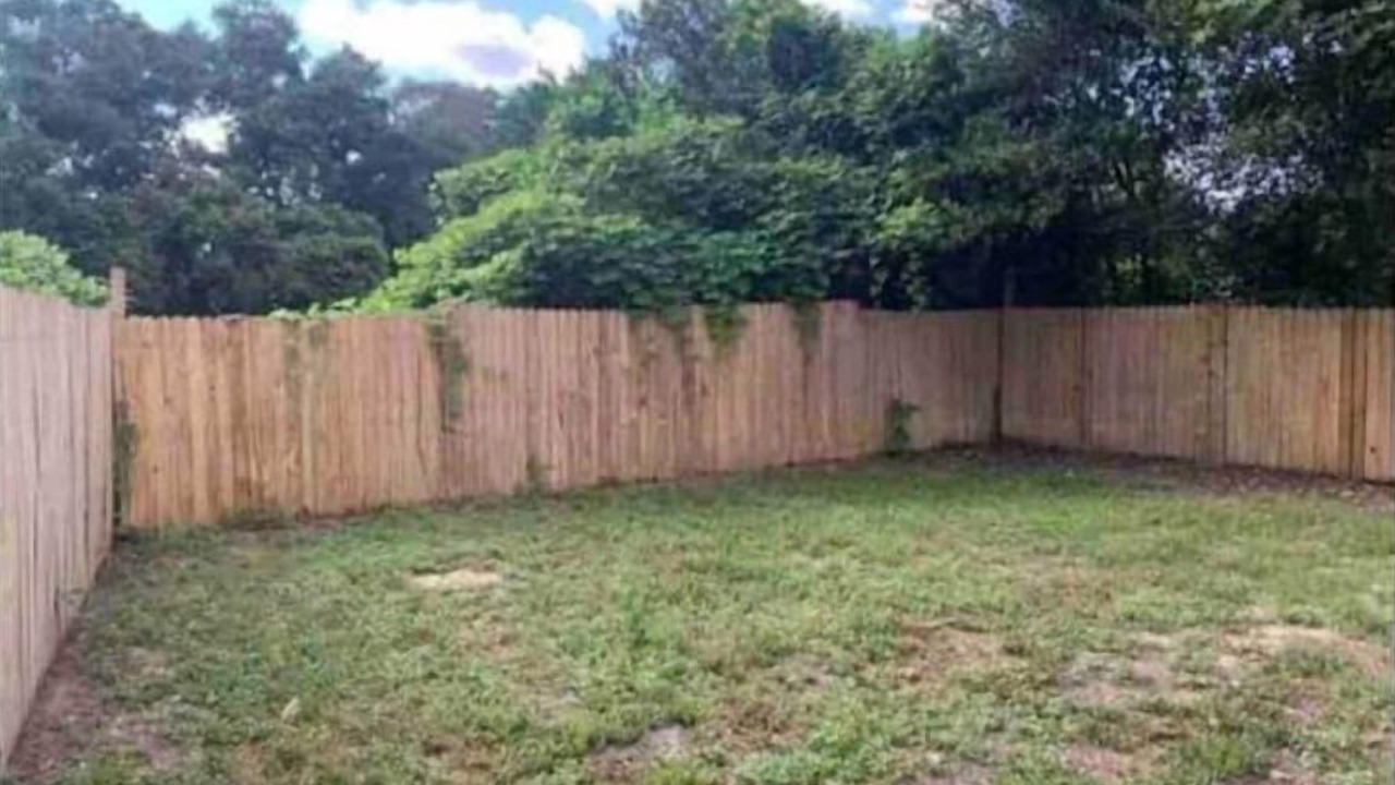 Photo of Outdoor in Navy Point