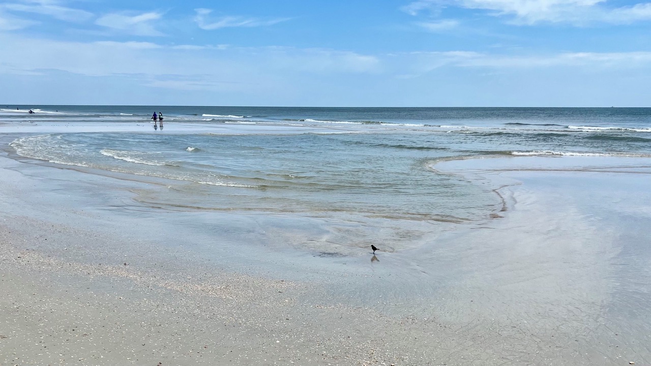 Photo of Others in New Smyrna Beach