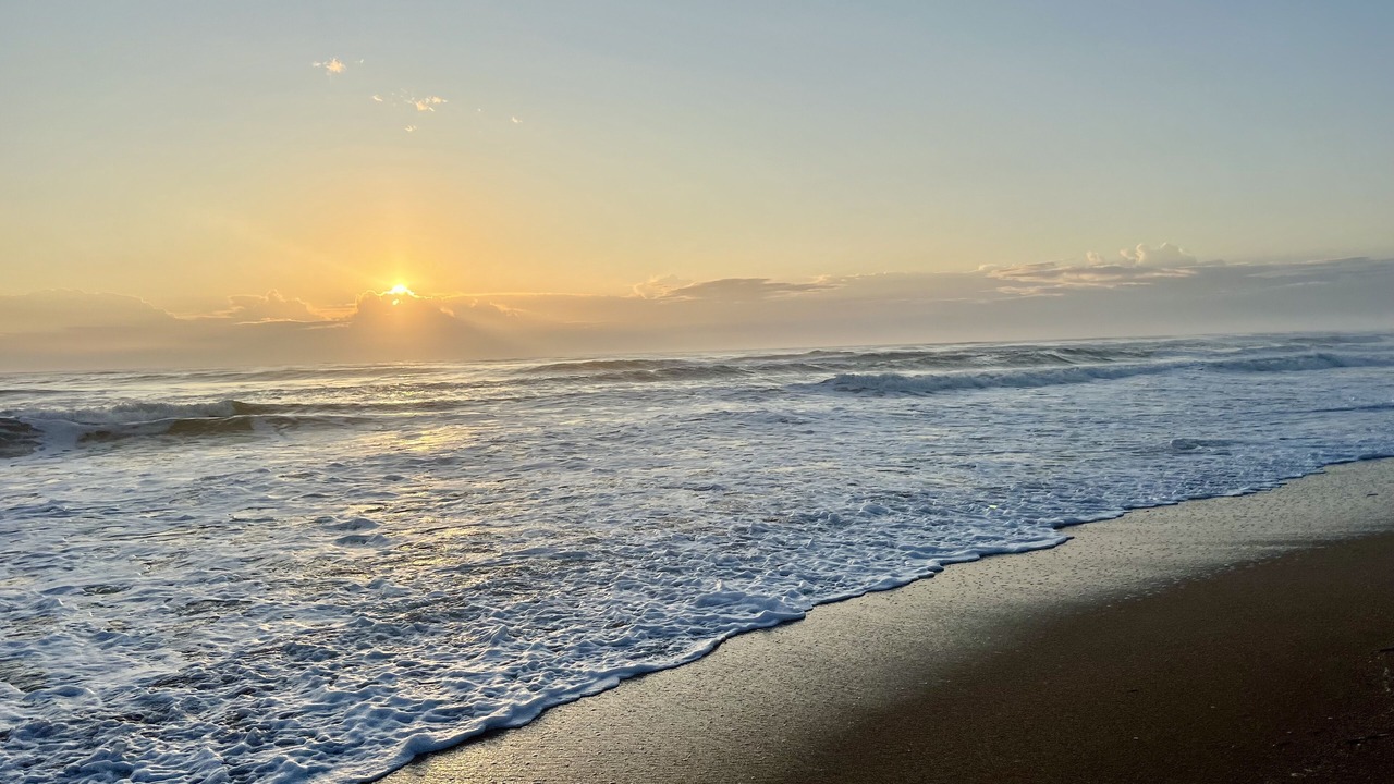 Photo of Others in New Smyrna Beach