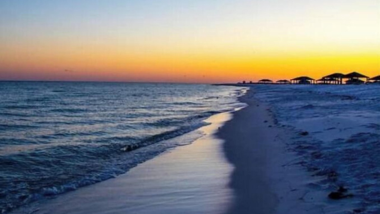 Photo of Others in Pensacola