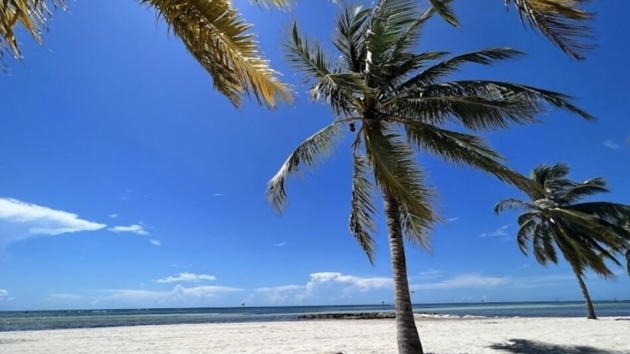 Photo of Others in Summerland Key
