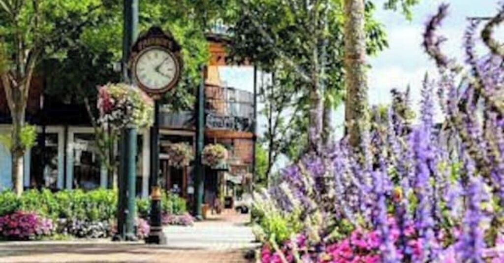 Photo of Outdoor in Fairhope