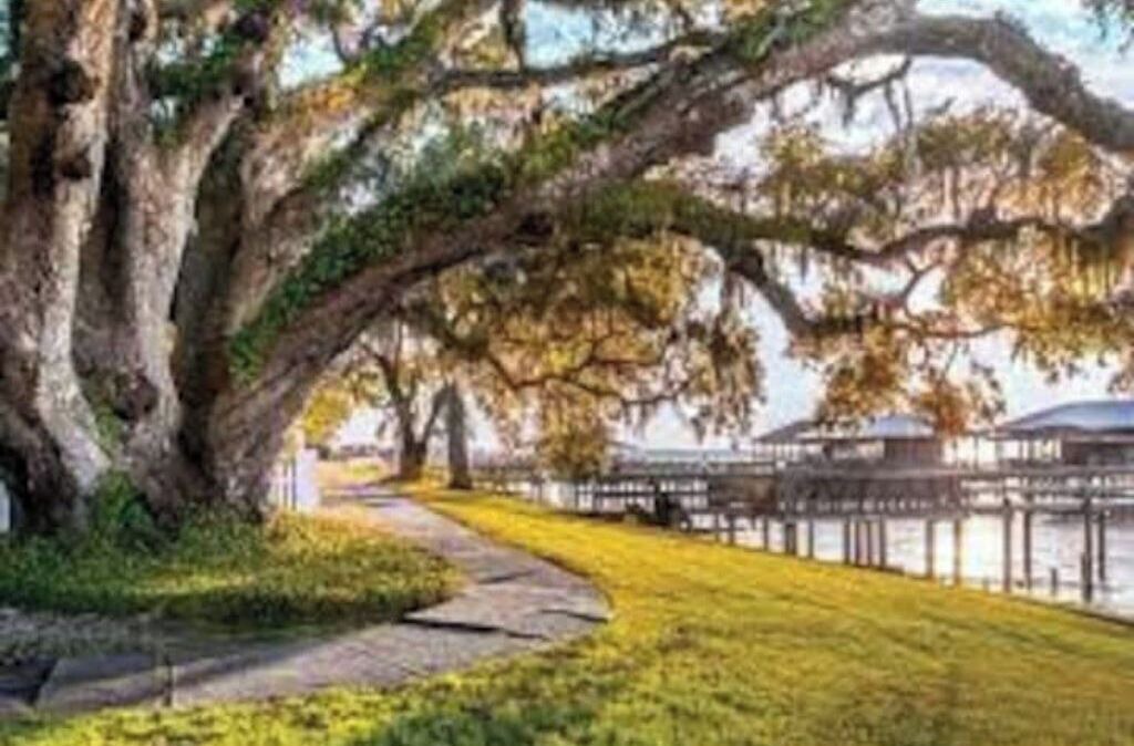 Photo of Others in Fairhope