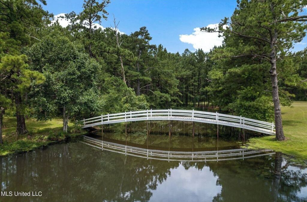 Photo of Outdoor in McNeill