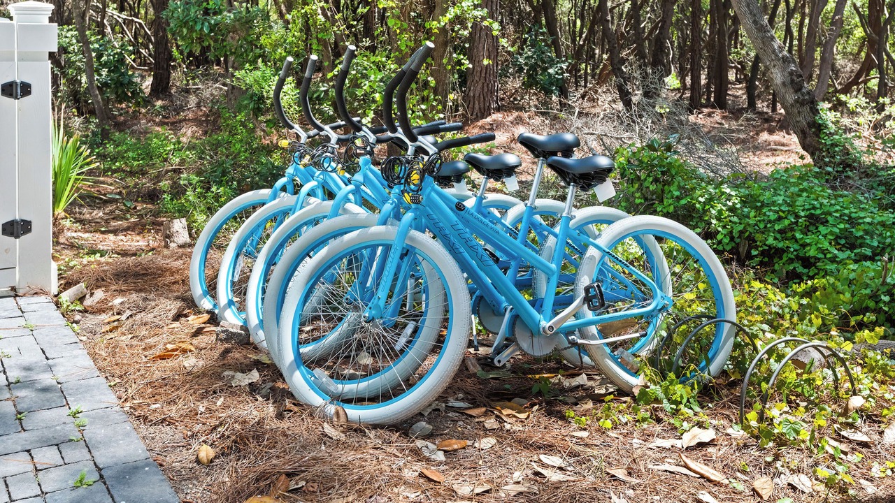 Photo of Others in Forest District