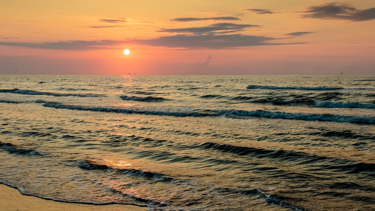 Photo of Others in El Centro Beach