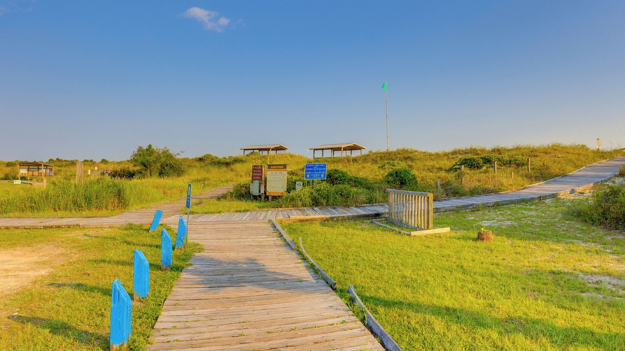 Photo of Others in Dauphin Island