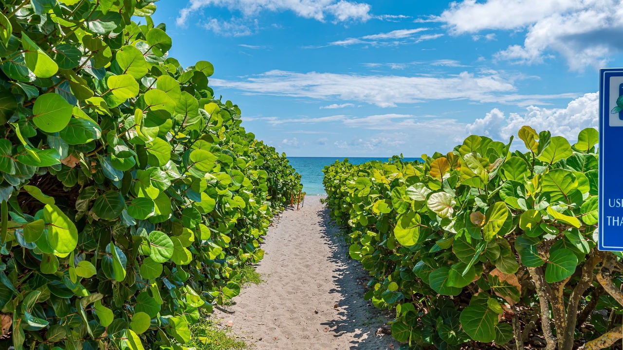 Photo of Outdoor in Juno Beach