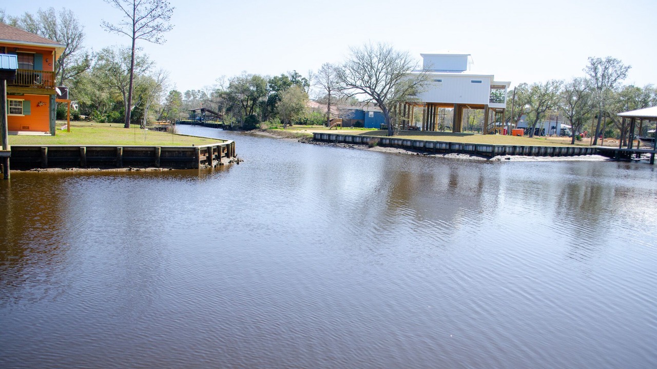 Photo of Others in Shoreline Park