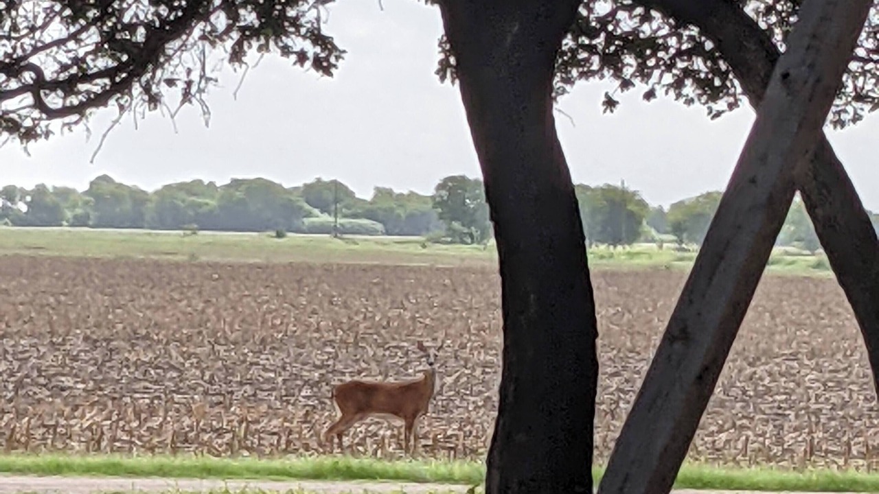Photo of Others in Woodway