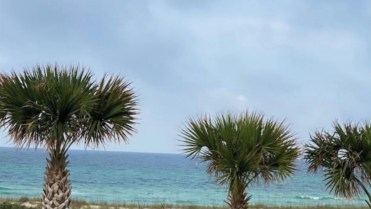 Photo of Others in Bid-a-wee Beach