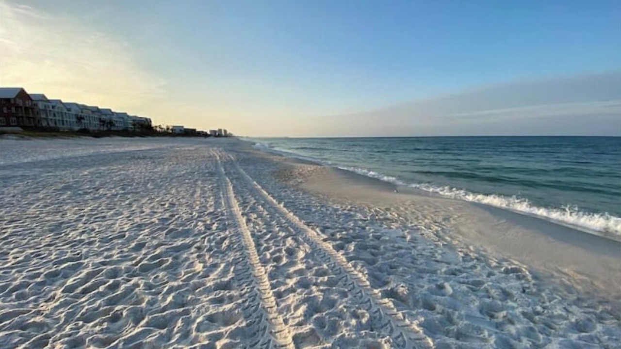 Photo of Others in Bid-a-wee Beach