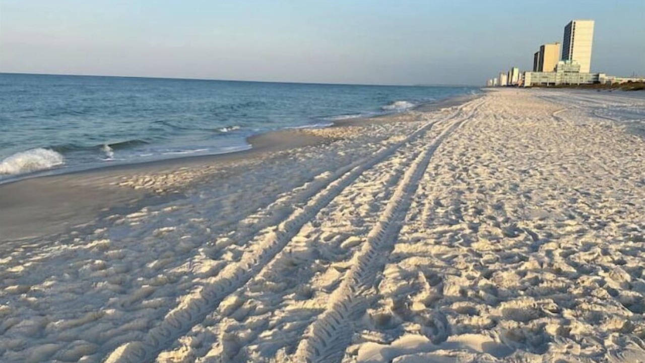 Photo of Others in Bid-a-wee Beach