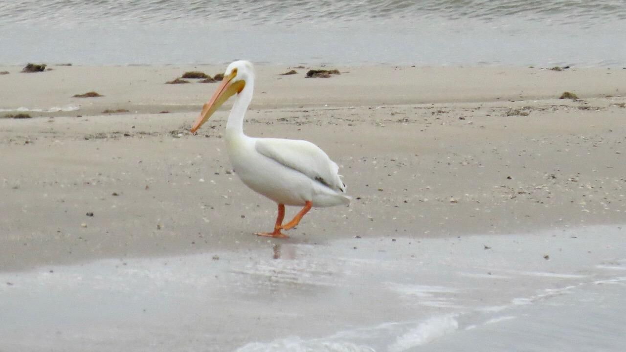 Photo of Others in Lakeview  Jefferson County