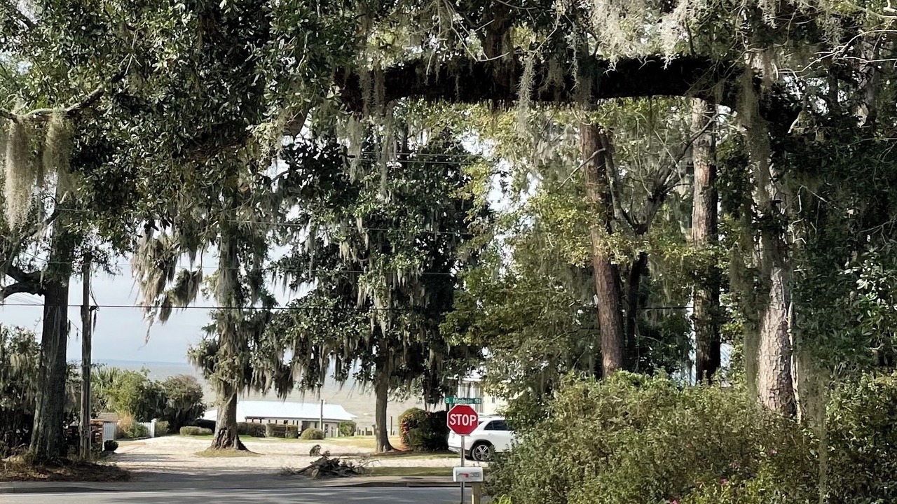 Photo of Outdoor in Fairhope