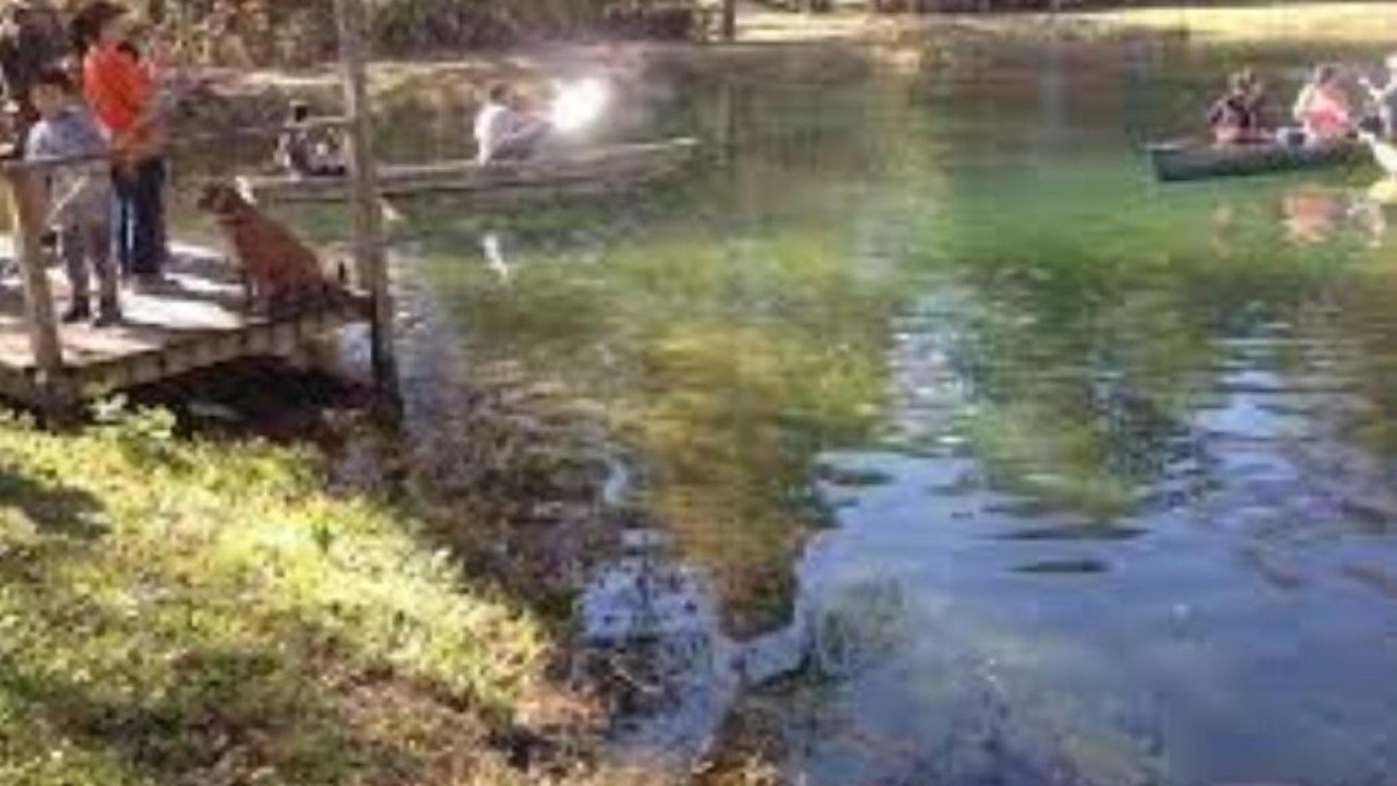 Photo of Others in Bogalusa