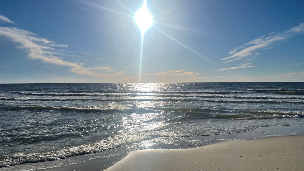 Photo of Others in Port St. Joe