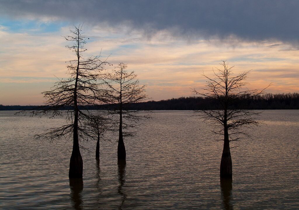 Photo of Outdoor in Winterville