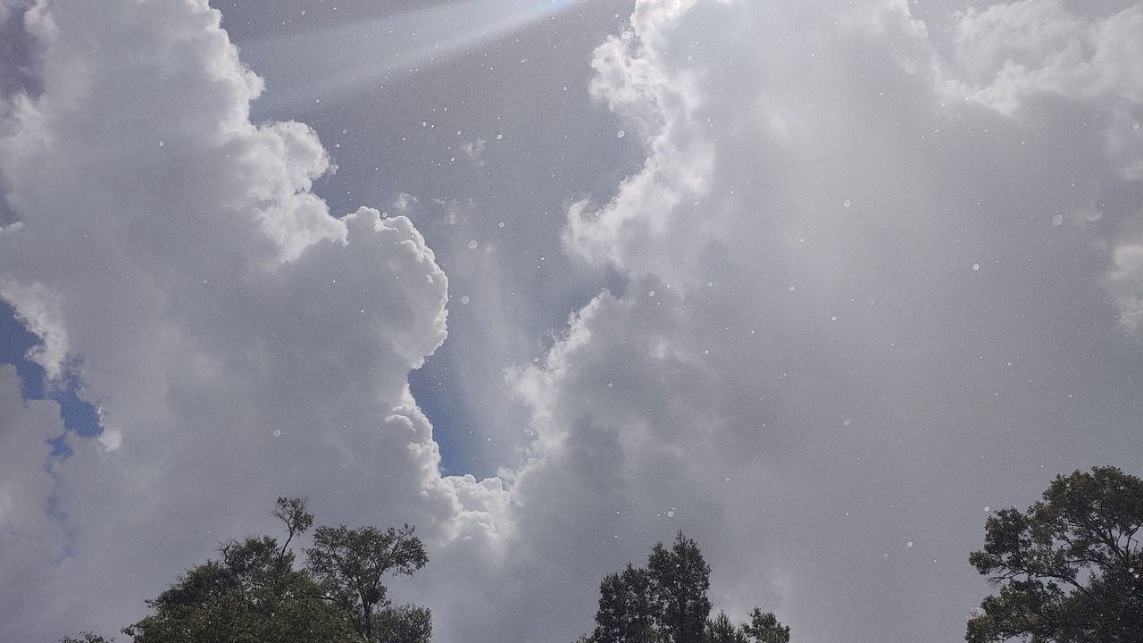 Photo of Others in Wewahitchka