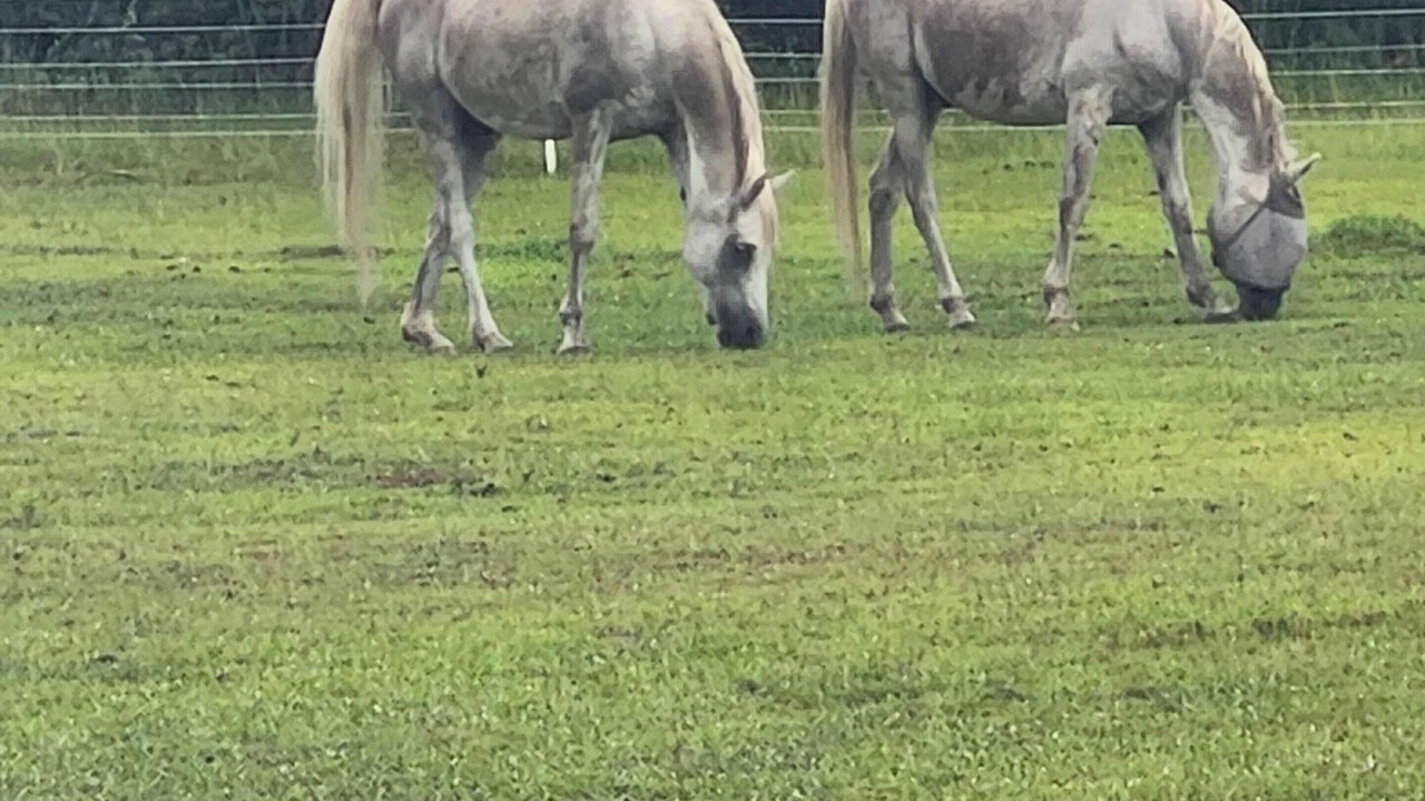 Photo of Others in Wewahitchka