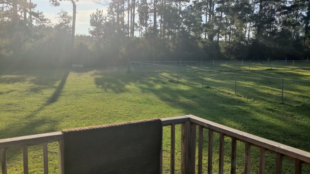 Photo of Others in Wewahitchka