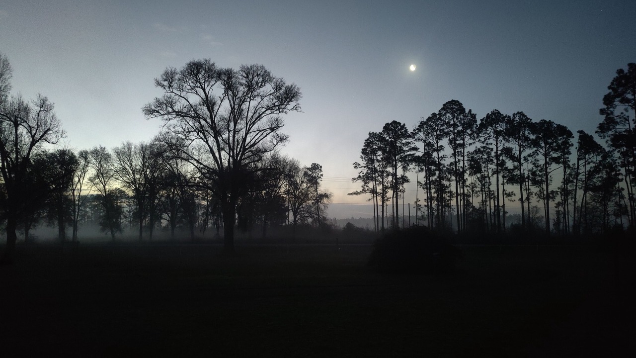 Photo of Others in Wewahitchka