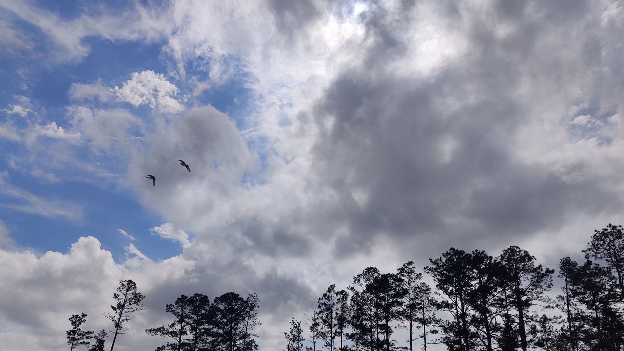 Photo of Others in Wewahitchka