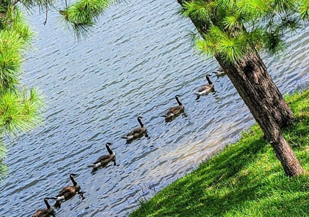 Photo of Others in Northside