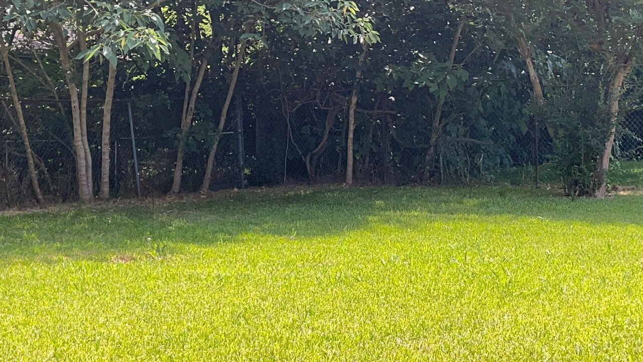 Photo of Outdoor in Natchez