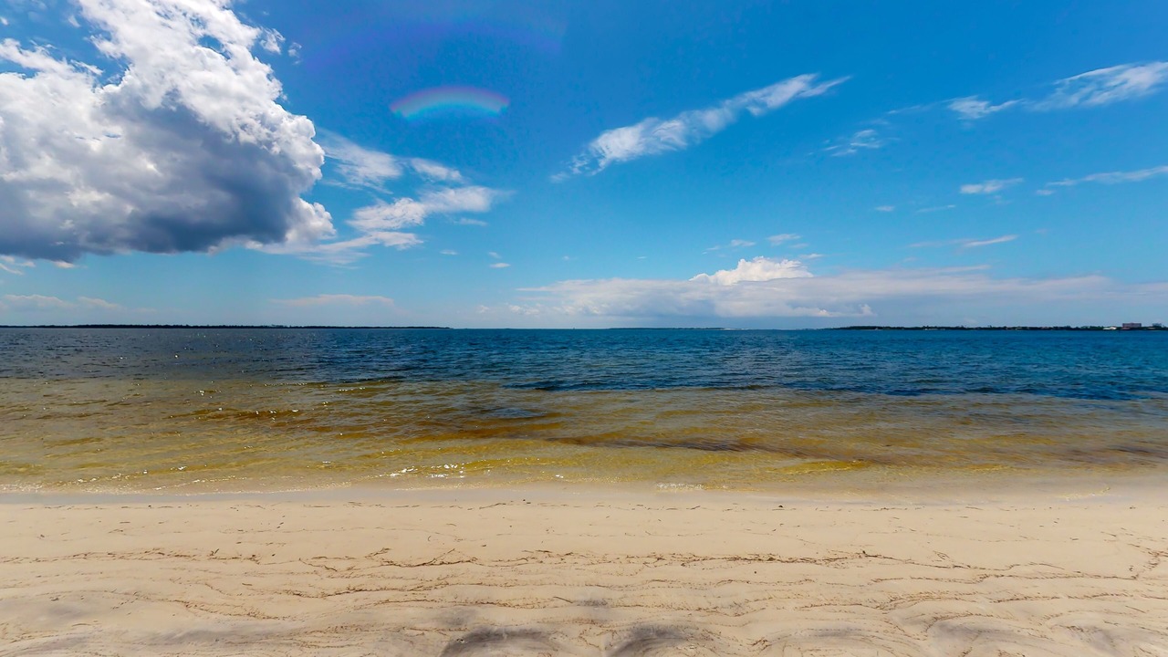 Photo of Others in Panama City