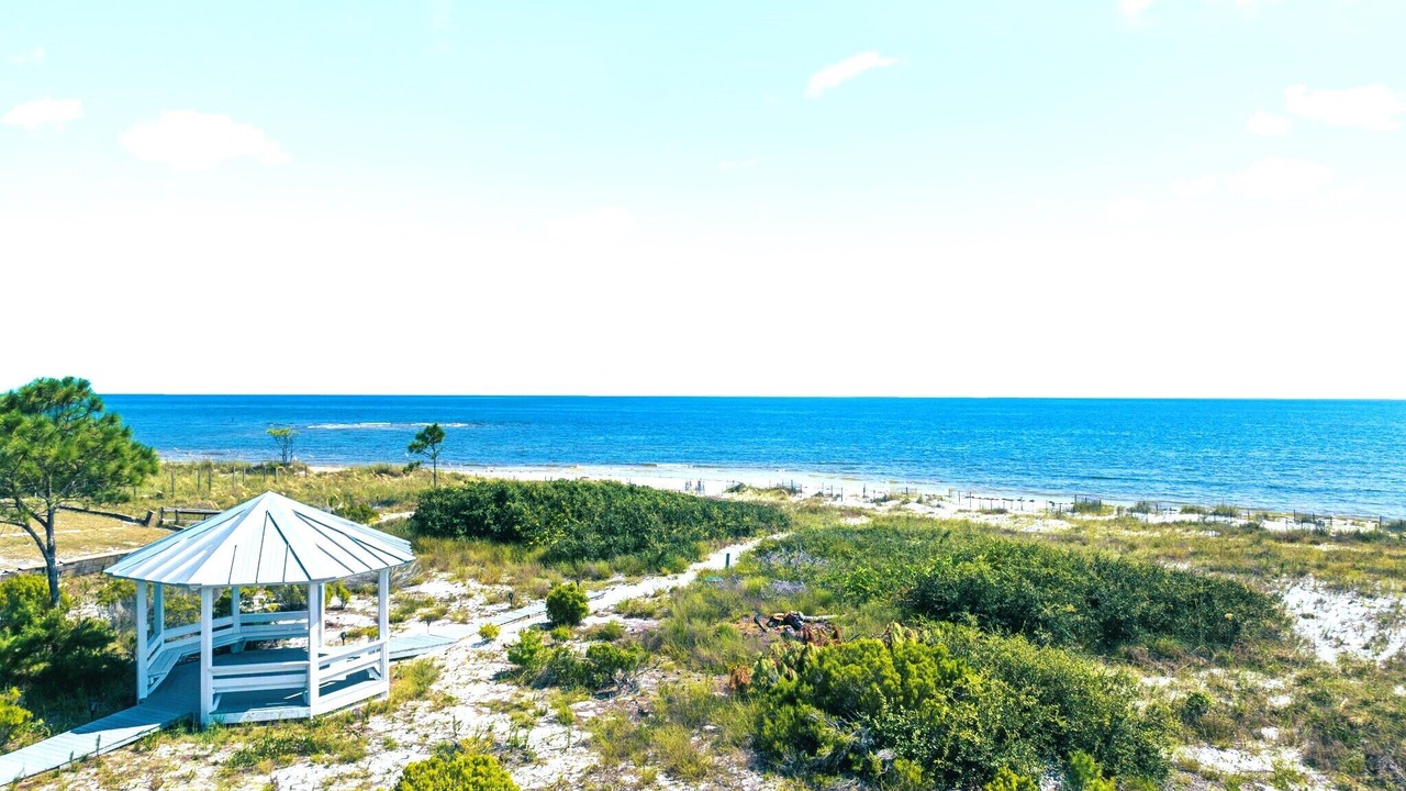 Photo of Outdoor in Alligator Point