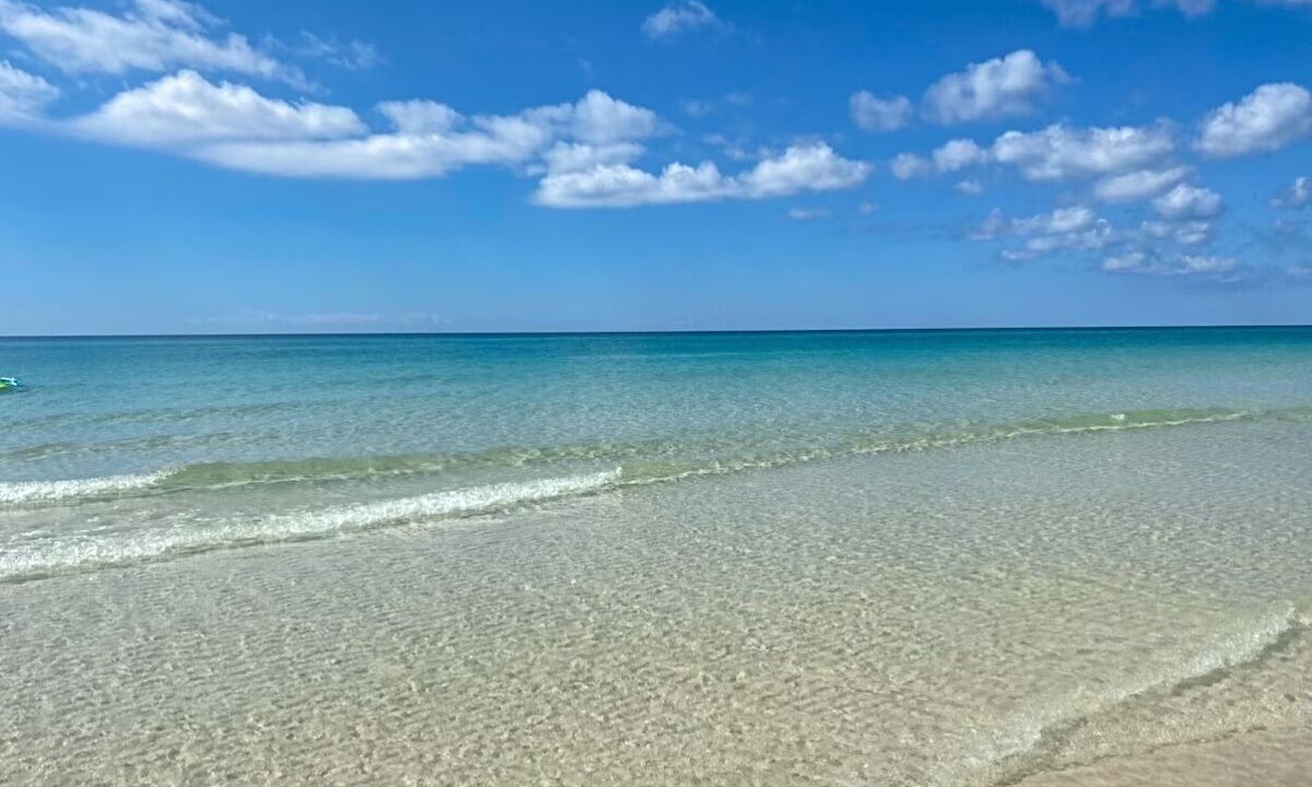 Photo of Others in Bahama Beach
