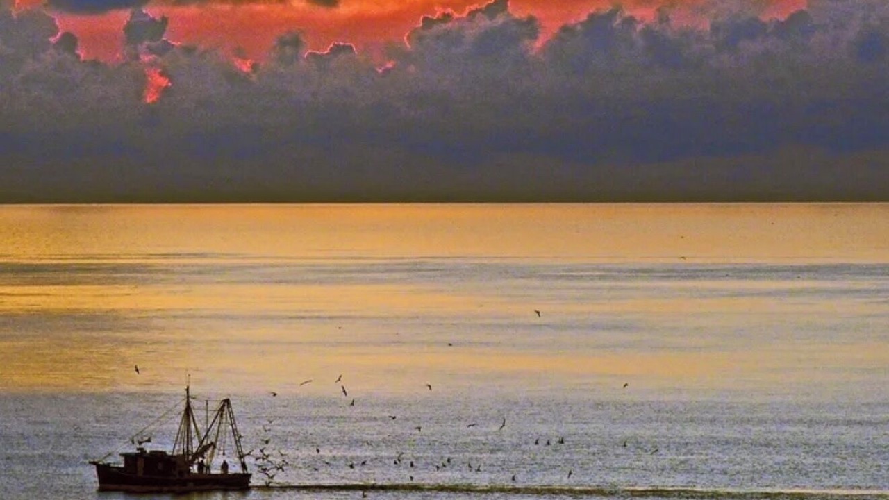 Photo of Others in Brown Island