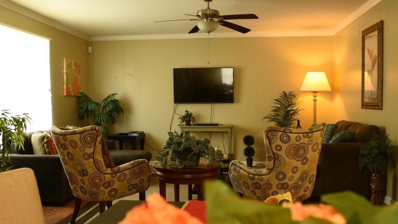 Photo of Livingroom in Shenandoah