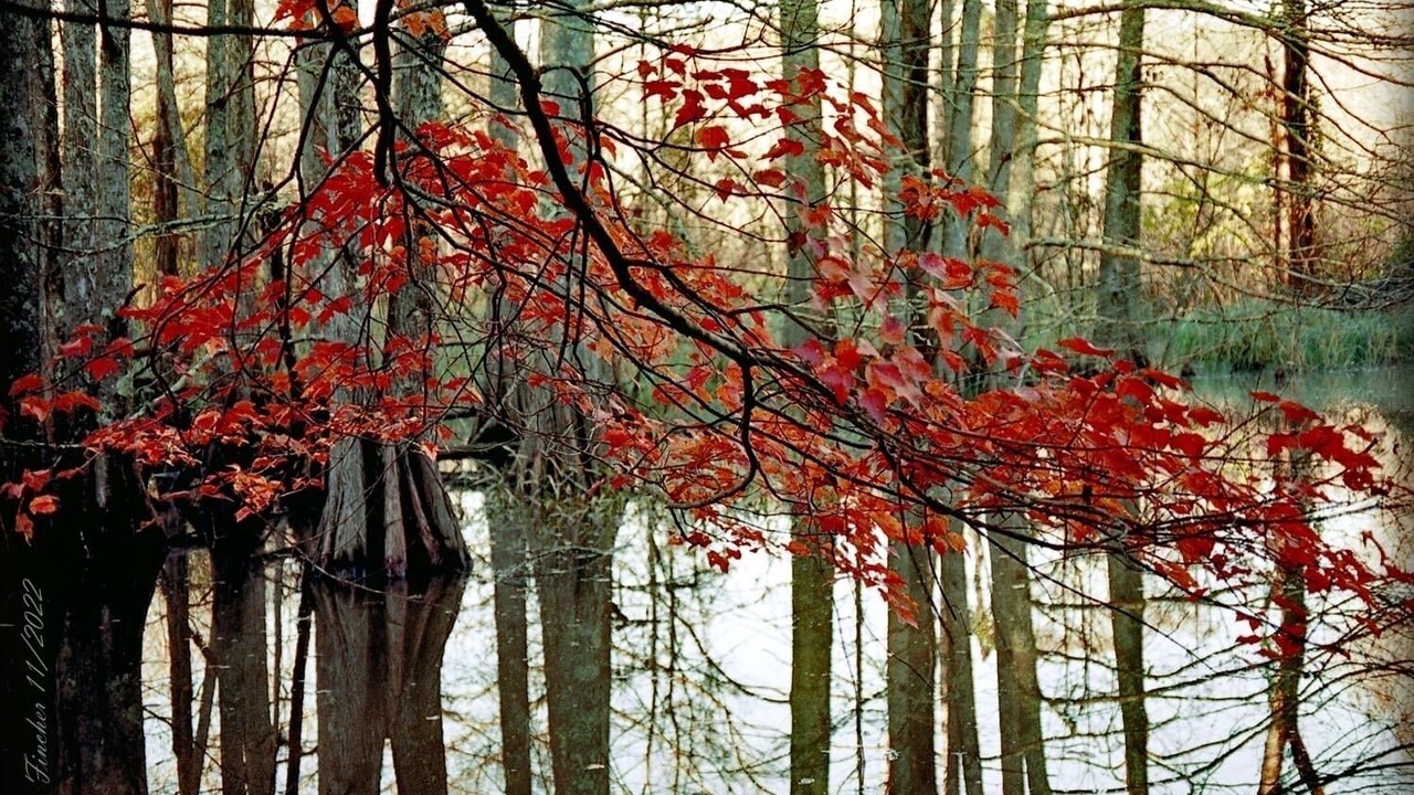 Photo of Others in McLeod