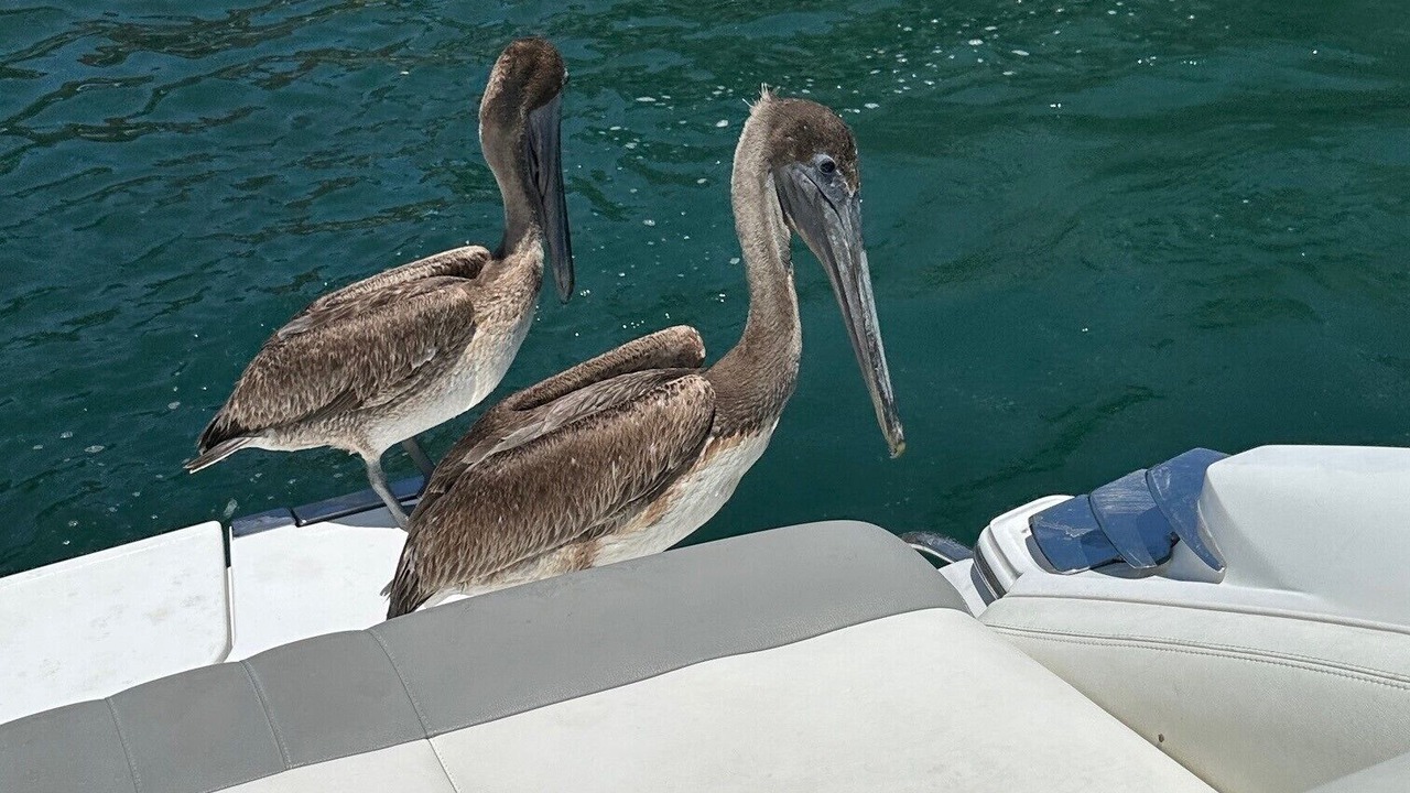 Photo of Others in Rotonda Lakes