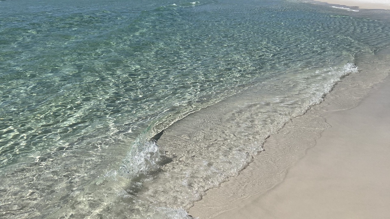 Photo of Others in Dune Allen Beach