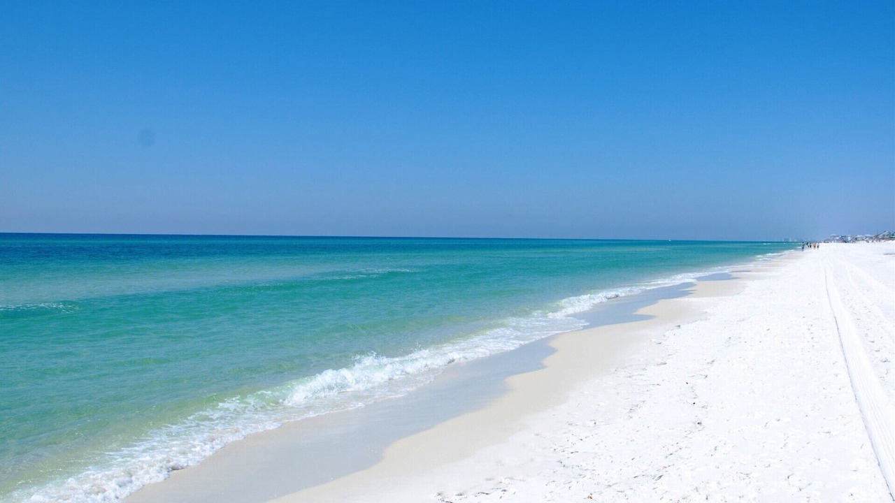 Photo of Others in White Sands First