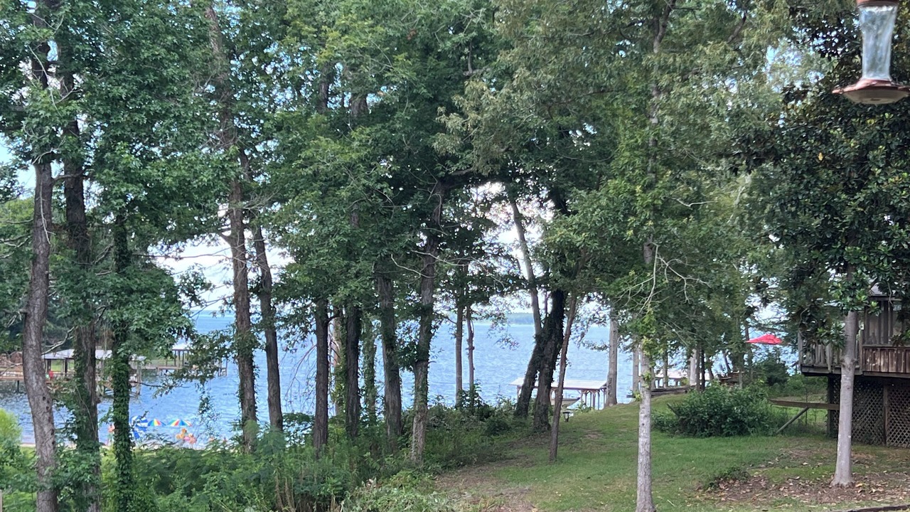 Photo of Outdoor in South Toledo Bend
