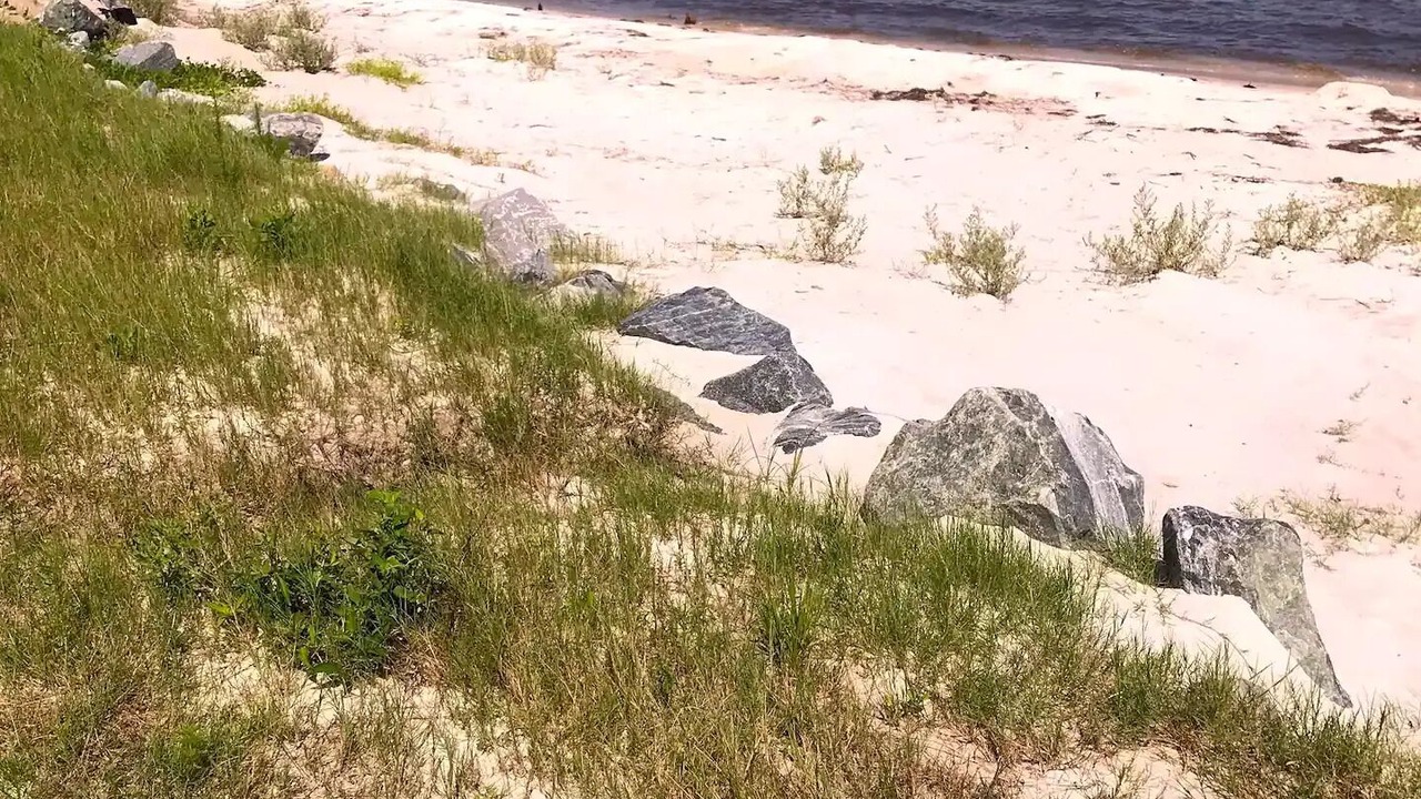 Photo of Others in Carrabelle