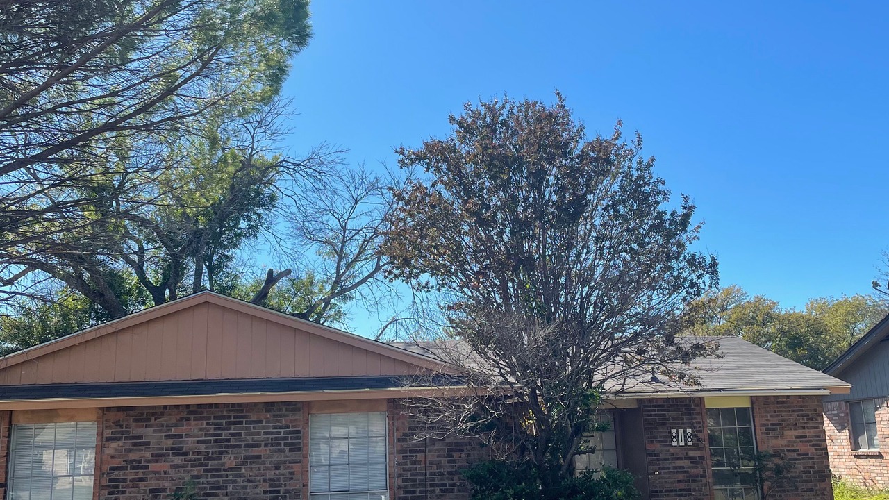 Photo of Outdoor in Garland