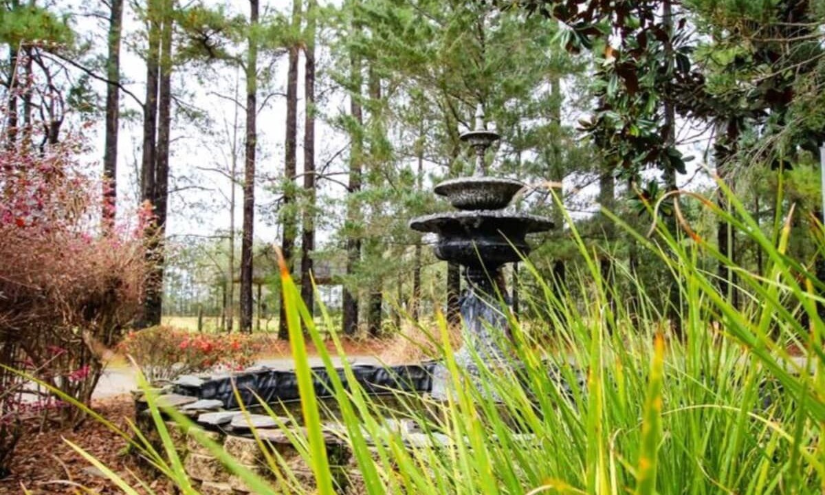 Photo of Outdoor in Grand Bay