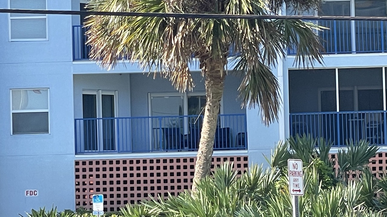 Photo of Outdoor in New Smyrna Beach