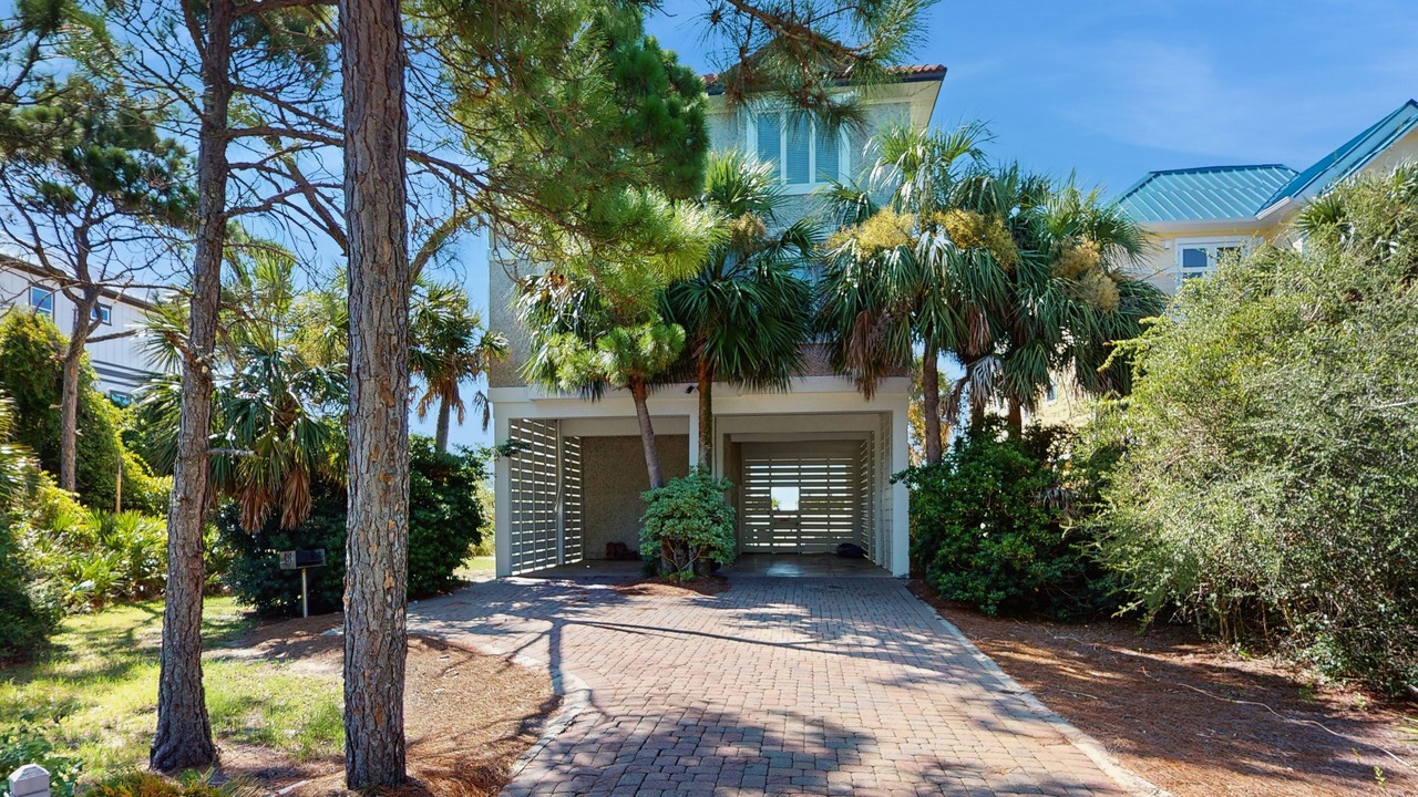 Photo of Outdoor in Plantation