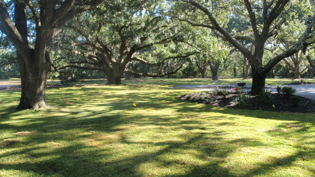 Photo of Others in Ocean Springs