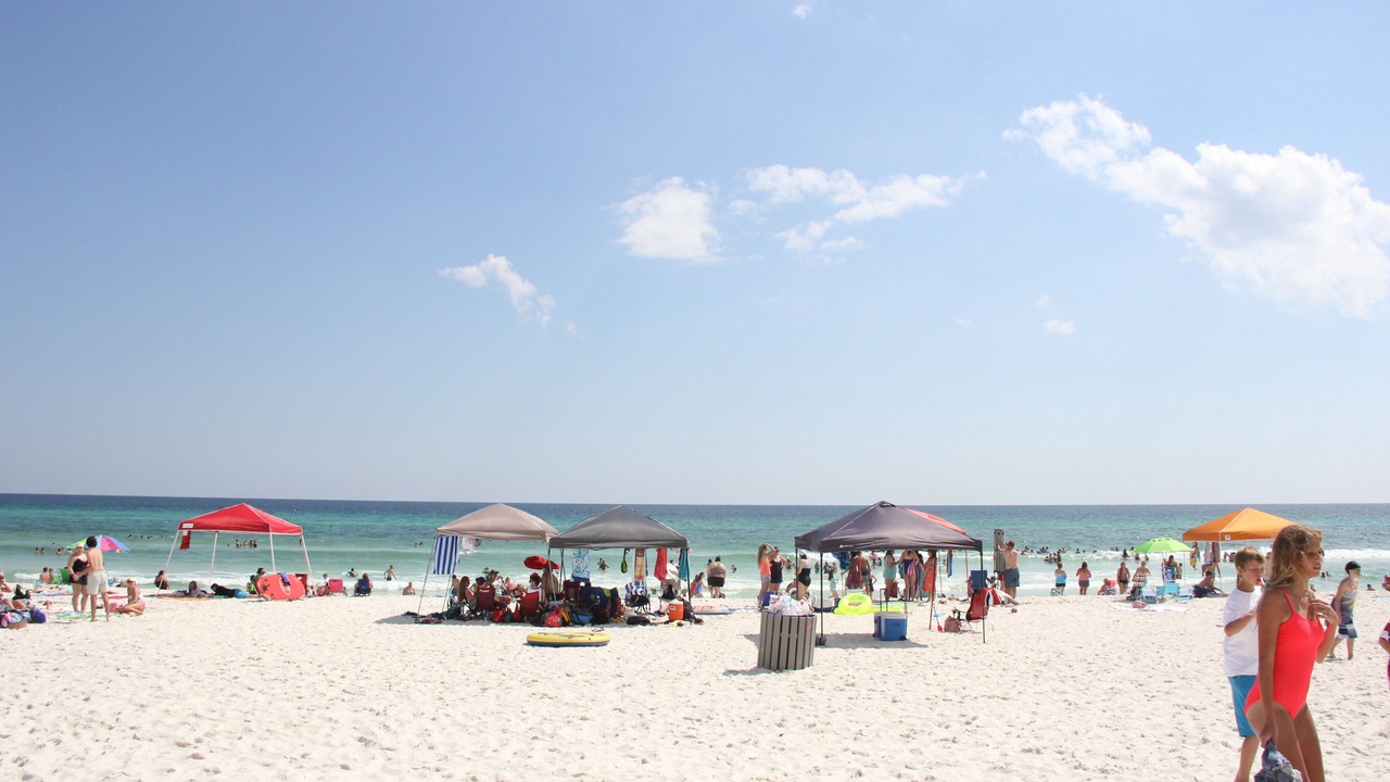Photo of Others in Kiska Beach