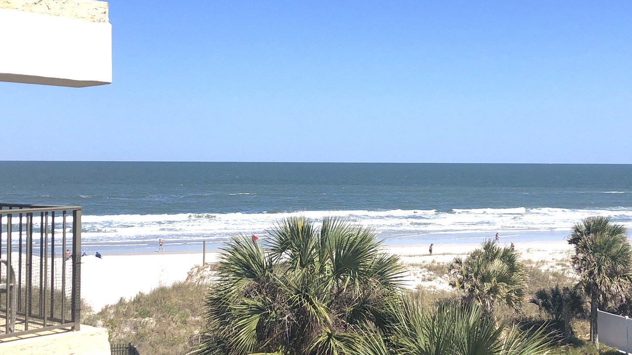 Photo of Others in Jacksonville Beach